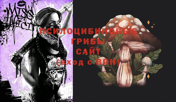 альфа пвп Верхнеуральск
