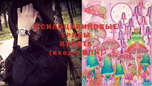 не бодяженный Верея